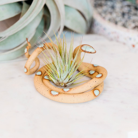 Selma Sm (Tan w/Turq Spots)