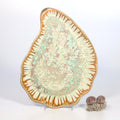 Large Oyster Plate- Mint