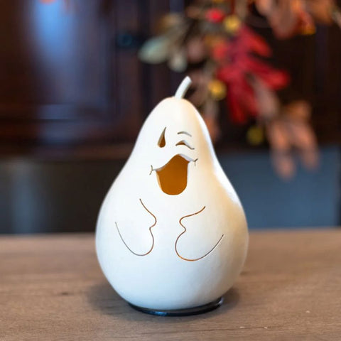 Jake Winking Ghost- Mini